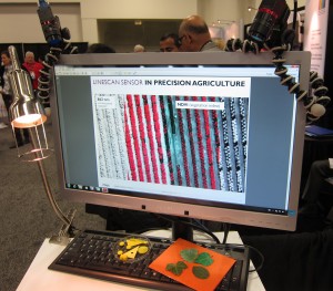 Figure 3: Here are the results of hyperspectral imaging applied to a strawberry field. One way to measure chlorophyll content in crops is with the reflectivity-based Normalized Difference Vegetation Index (NDVI).