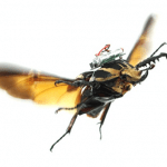 VLSI2016 Cyborg Insect